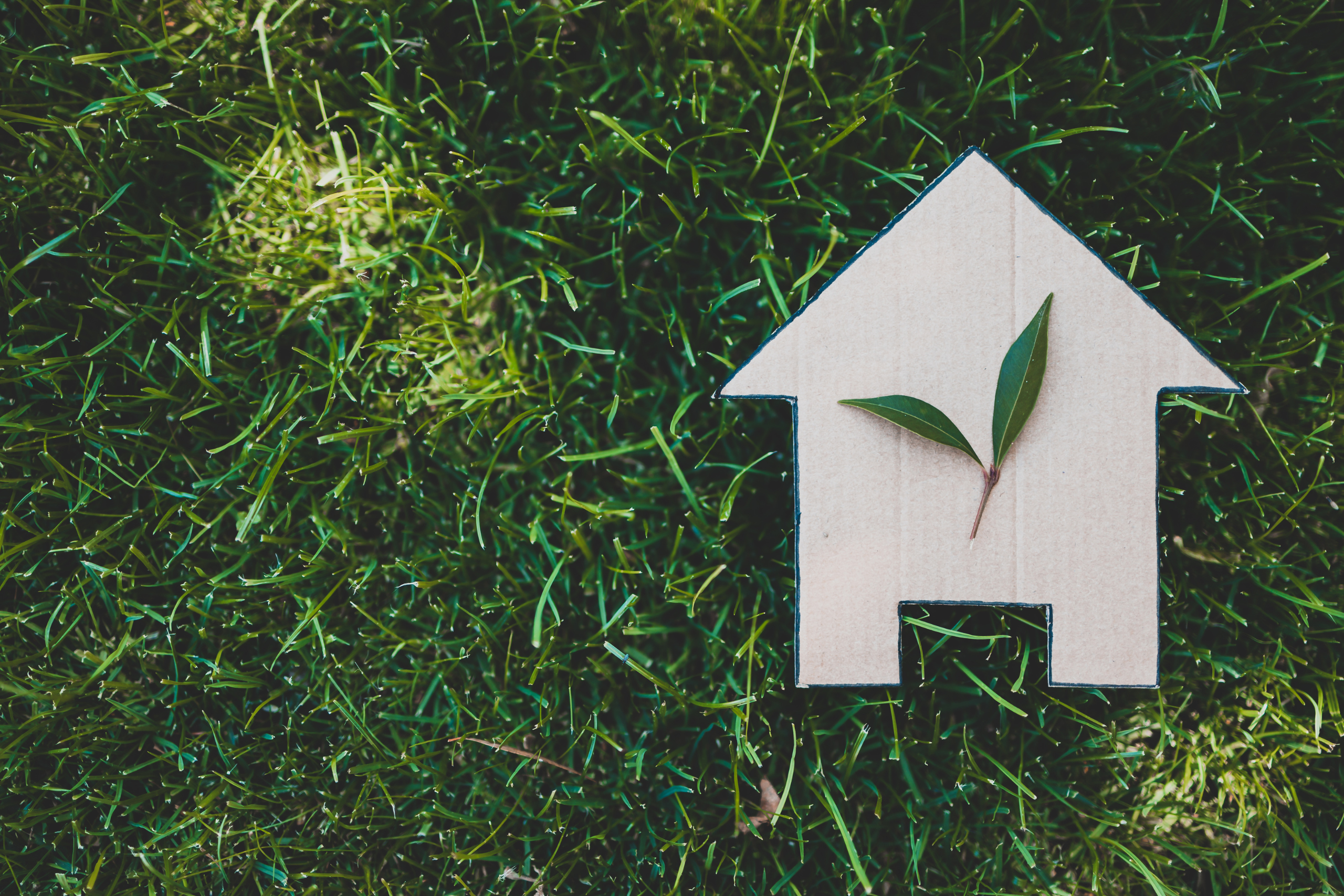 Ways To Improve Sustainability At Home