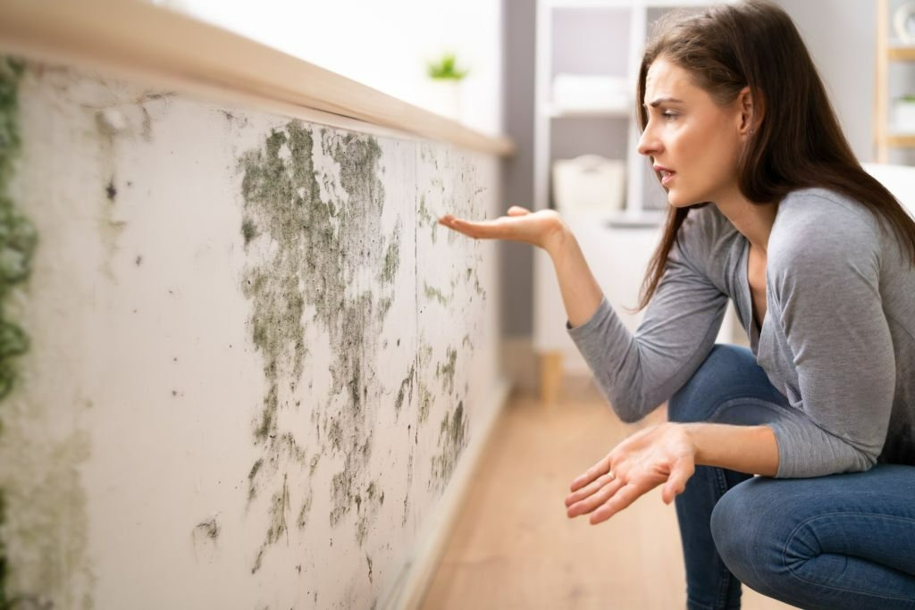 How To Get Rid Of Mould